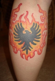 手臂彩色火焰中的凤凰符号纹身图片