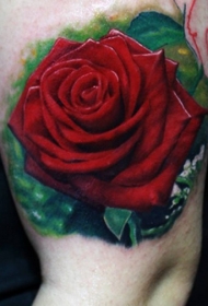 腿部非常逼真的彩色大玫瑰纹身