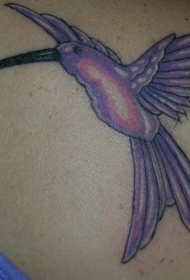 肩部彩色蜂鸟纹身图片