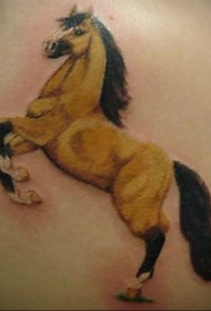 肩部彩色逼真的马纹身图案