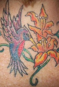 颈部彩色普通的蜂鸟纹身图案