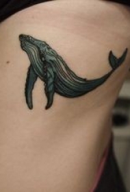 腰侧黑色鲸鱼纹身图片