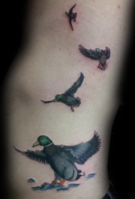 彩色腰侧动物飞行鸭纹身图案