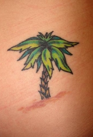 肩部彩色漂亮的小棕榈树纹身图案