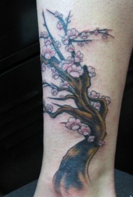 腿部彩色非常漂亮的樱花树纹身图片