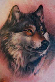 男性胸部彩色狼头纹身图案