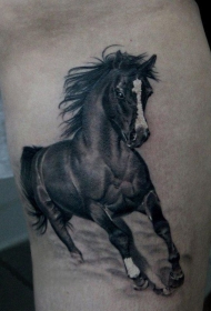 腿部逼真的黑马纹身图片