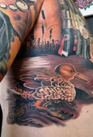 男性腰侧彩色鸭子纹身图案