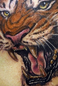 肩部彩色超级现实的老虎纹身图案