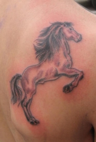 肩部棕色年轻的马纹身图案