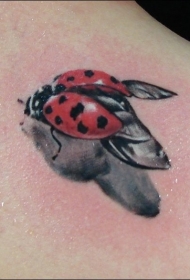 肩部彩色超现实的瓢虫纹身图案