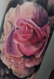 手臂彩色可爱的玫瑰与露珠纹身