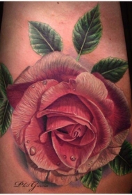 手臂现实主义风格的彩色玫瑰纹身图案