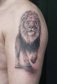 肩部棕色逼真的狮子纹身图片