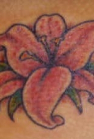 女性肩部小粉红百合纹身图片
