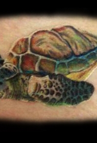 腰部彩色好看的乌龟纹身图案
