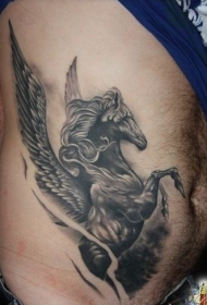 腰侧灰色漂亮的黑马飞马纹身图片