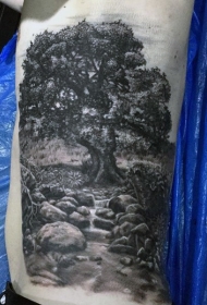腰侧黑灰农村树木和小溪纹身图案