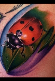肩部彩色照片般逼真的瓢虫纹身图案