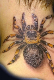 女性脖子彩色逼真的蜘蛛纹身图案