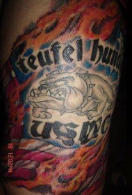 手臂彩色美国斗牛犬与英文纹身图案