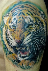 肩部彩色逼真愤怒的老虎纹身图案