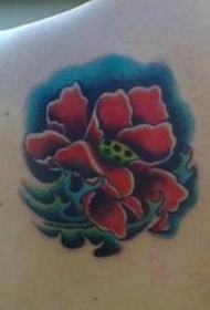 肩部彩色罂粟花纹身图案