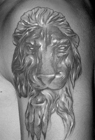 肩部灰色狮子舔爪子纹身图案