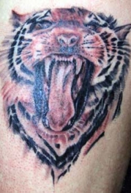 背部棕色现实咆哮的老虎纹身图片