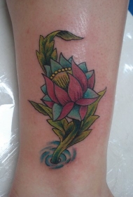 女性手腕彩色水莲花纹身图案