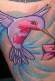 手臂彩色蜂鸟采花纹身图案