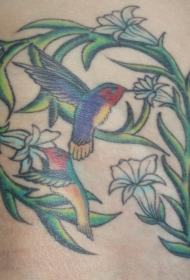 腿部彩色蜂鸟与藤蔓纹身图案