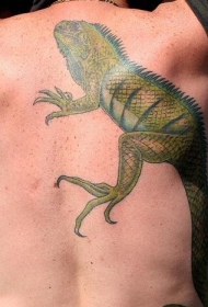 腰侧逼真的彩色蜥蜴纹身图案