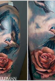 现实主义风格的彩色飞鸟与玫瑰纹身图案