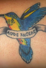 背部彩色拉丁文字与蜂鸟纹身图片
