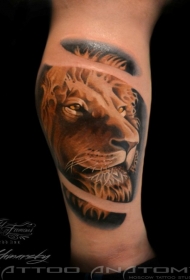 腿部逼真的彩色狮子纹身图案