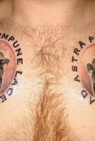 胸部棕色猫头鹰与拉丁文纹身图案