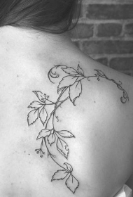 肩胛骨简约线条葡萄藤蔓纹身图案