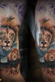 肩部彩色逼真的狮子纹身图片