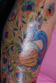 女性手臂彩色孔雀袖纹身图案