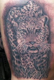腿部有趣逼真的豹子纹身纹身图案