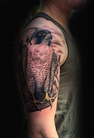 肩部逼真的自然彩色老鹰纹身图案