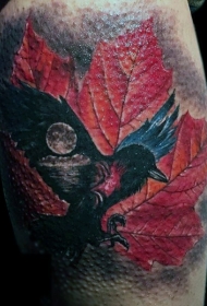 腿部彩色逼真的乌鸦与枫叶纹身