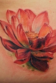 腰部彩色逼真的红莲花纹身图片
