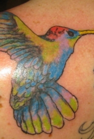 肩部彩色蜂鸟纹身图案