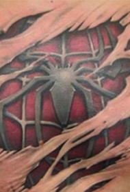 胸部彩色撕皮蜘蛛纹身图案