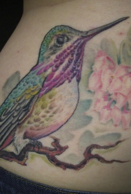 腰部彩色蜂鸟与花朵纹身图案