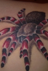 肩部彩色红腿毛蜘蛛纹身图案
