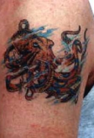 男性肩部彩色章鱼纹身图案