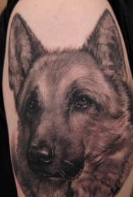 肩部棕色德国牧羊犬纹身图案